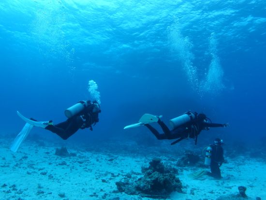 体験ダイビング 自分で泳ぐ！自分で潜る！ゆっくり時間を使ってプチ本格ダイビングを楽しもう！＜10歳から参加可／昼食付き／石垣島市街地送迎可＞