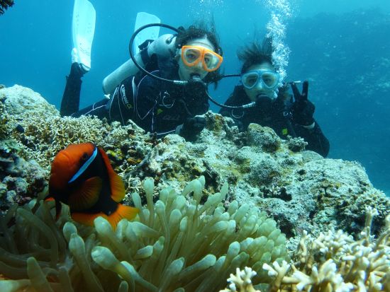 ファンダイビング 初心者さん向けプログラム 焦らずゆっくり八重山諸島の海を冒険しよう＜ライセンスカード必須／昼食付き／石垣島市街地送迎可＞