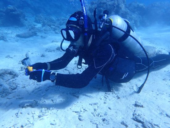 ファンダイビング 初心者さん向けプログラム 焦らずゆっくり八重山諸島の海を冒険しよう＜ライセンスカード必須／昼食付き／石垣島市街地送迎可＞