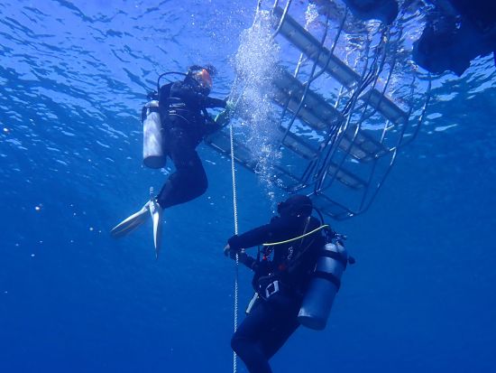 体験ダイビング 自分で泳ぐ！自分で潜る！ゆっくり時間を使ってプチ本格ダイビングを楽しもう！＜10歳から参加可／昼食付き／石垣島市街地送迎可＞