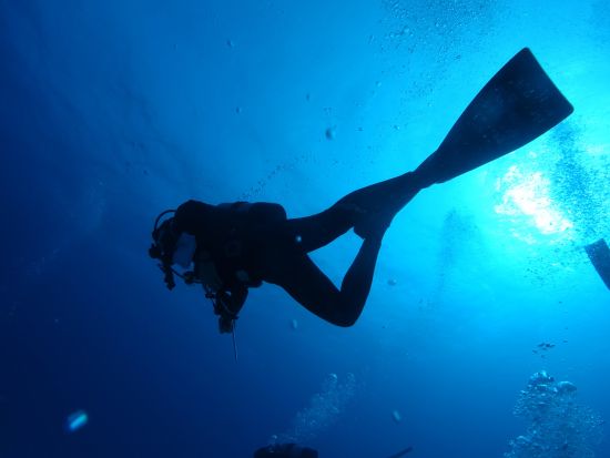 体験ダイビング 自分で泳ぐ！自分で潜る！ゆっくり時間を使ってプチ本格ダイビングを楽しもう！＜10歳から参加可／昼食付き／石垣島市街地送迎可＞