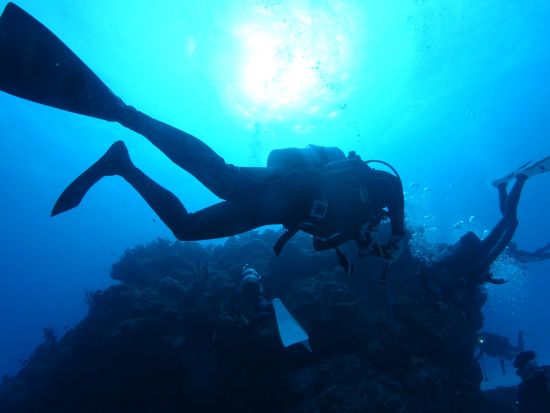 ファンダイビング 初心者さん向けプログラム 焦らずゆっくり八重山諸島の海を冒険しよう＜ライセンスカード必須／昼食付き／石垣島市街地送迎可＞