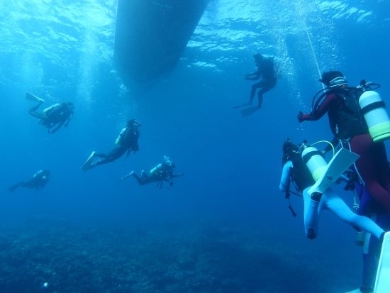 ファンダイビング 初心者さん向けプログラム 焦らずゆっくり八重山諸島の海を冒険しよう＜ライセンスカード必須／昼食付き／石垣島市街地送迎可＞