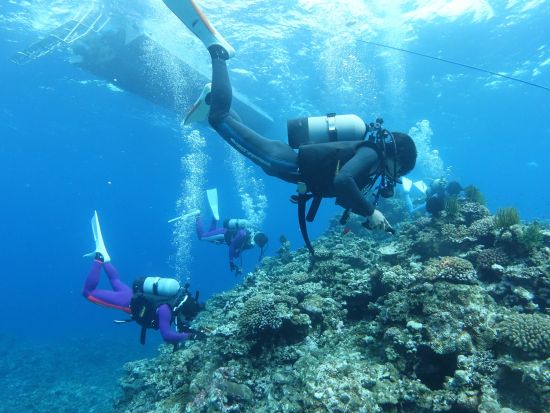 ファンダイビング 初心者さん向けプログラム 焦らずゆっくり八重山諸島の海を冒険しよう＜ライセンスカード必須／昼食付き／石垣島市街地送迎可＞