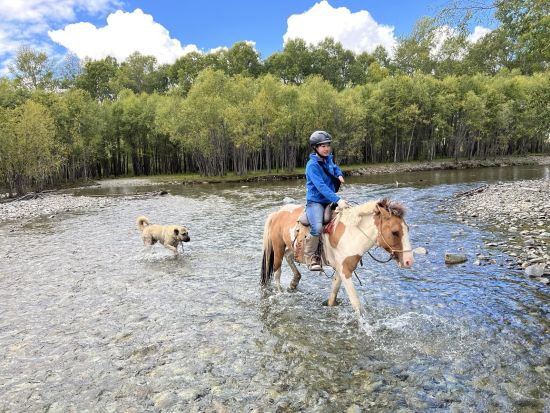 【4泊5日】遊牧民宅ホームステイが選べる！テレルジ国立公園＆ドラマのロケ地巡り 文化体験満喫ツアー ＜食事付き／日本語ガイド／チンギスハーン国際空港発着＞