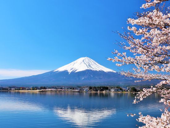 東京発富士山河口湖日帰りバスツアー　河口湖遊覧船・忍野八海＜昼食付きプランあり＞