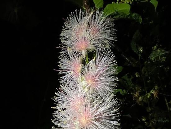 51f7d375-1bf3-48bf-9ef8-2c06c35e