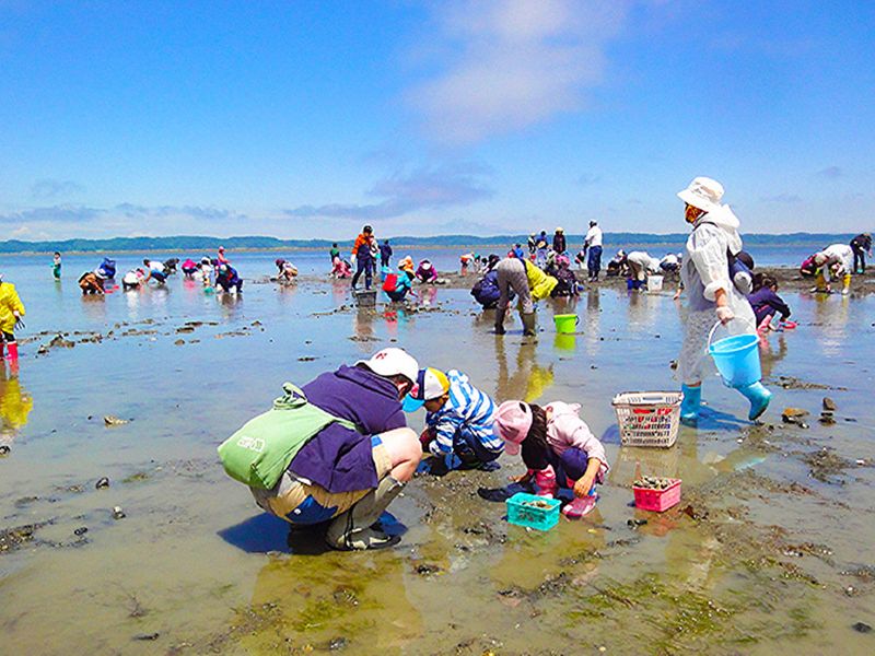 761d154ce1c478647dac84cc16dddf5d