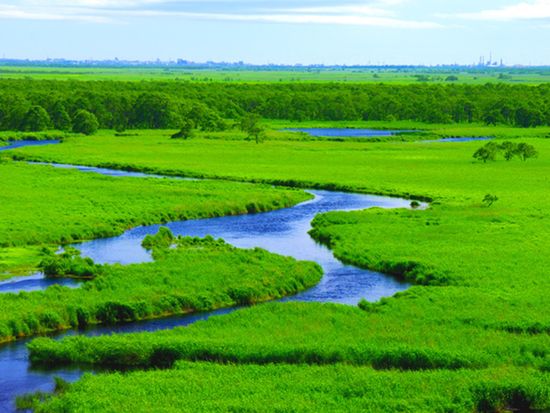 釧路湿原AS