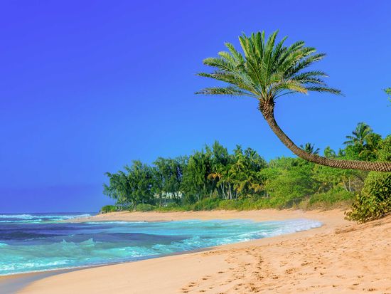 shutterstock_623625458