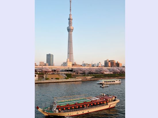 スカイツリー付近第十一釣新丸