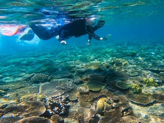 シーカヤック＆シュノーケリングツアー 沖縄の美しい海を満喫 写真と動画を無料プレゼント 機材レンタル可＜昼食付／恩納村または名護市内より送迎あり＞