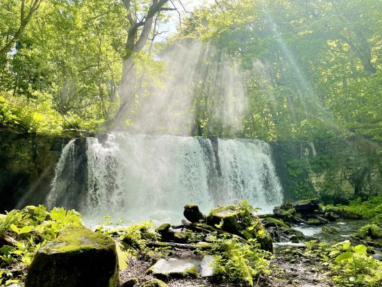 【津軽海峡フェリー直結】早朝から青森満喫！奥入瀬渓流（銚子大滝）　プライベートツアー　ベテランガイド1日貸切！＜青森フェリーターミナル発着＞