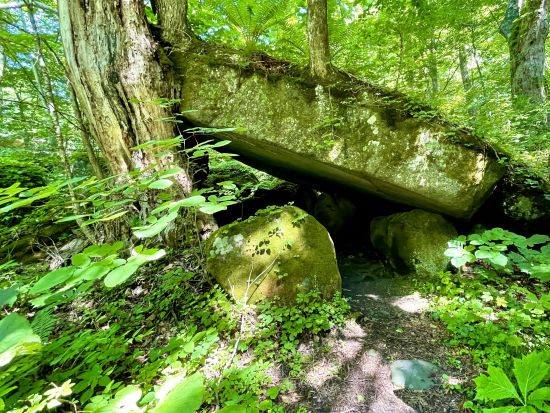 奥入瀬渓流＆蔦6沼ネイチャーツアー JR青森駅・青森空港から無料送迎付き　初心者にもおすすめ散策コース！＜4月～11月／1日／奥入瀬館集合可＞