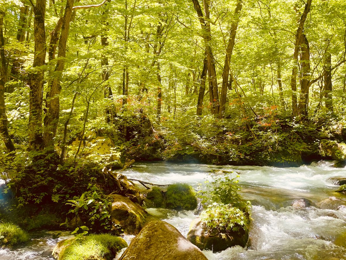 奥入瀬・十和田湖・八甲田 | 青森 旅行の観光・オプショナルツアー予約