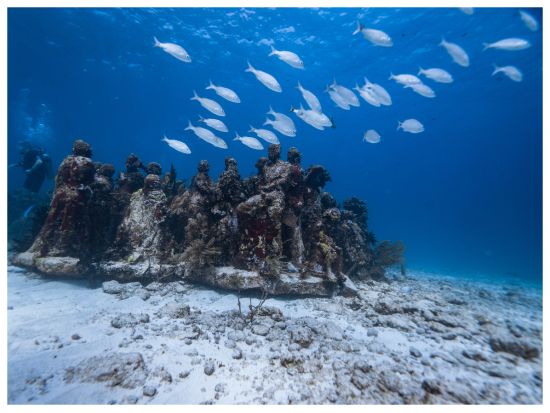 MUSA Cancún水中美術館 シュノーケル＆ガラス底ボートツアー＜混載／英語ガイド／ドリンク付＞ by Tiqets