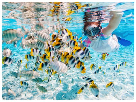 カンクン： 5 - in -1シュノーケリングツアー by Tiqets