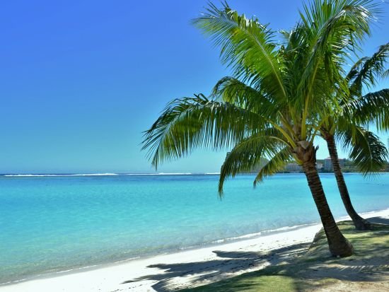 【空港送迎】グアム国際空港 ⇔ タモンorタムニング地区ホテル間 送迎サービス＜貸切／最大8名＞※車1台あたり料金