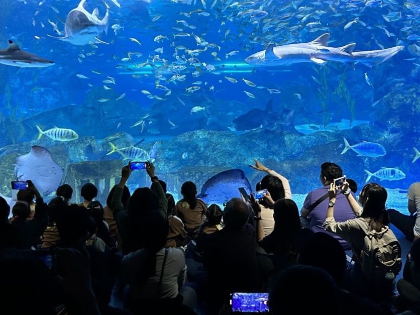 ソウル最大級の水族館！シーライフCOEX割引入場チケット お得な