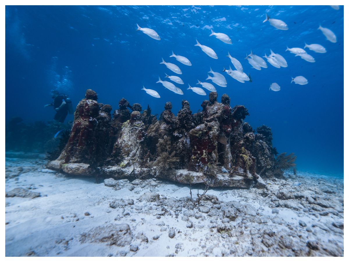 ダイビング | カンクン 旅行の観光・オプショナルツアー予約 VELTRA