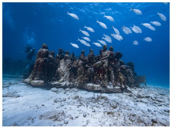 カンクン美術館：シュノーケリングツアー by Tiqets