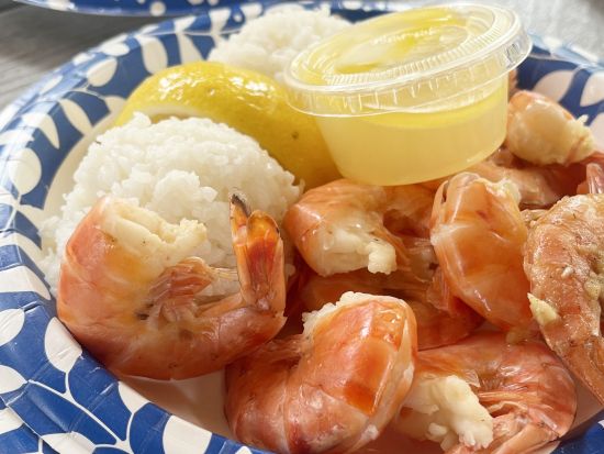 バン貸切チャーター　あなただけのオーダーメイドツアー！ハワイ在住人気Youtuberガイド指名や空港お迎えプランあり＜1～7名／4～9時間／日本語ガイド＞