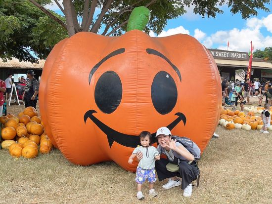 バン貸切チャーター　あなただけのオーダーメイドツアー！ハワイ在住人気Youtuberガイド指名や空港お迎えプランあり＜1～7名／4～9時間／日本語ガイド＞