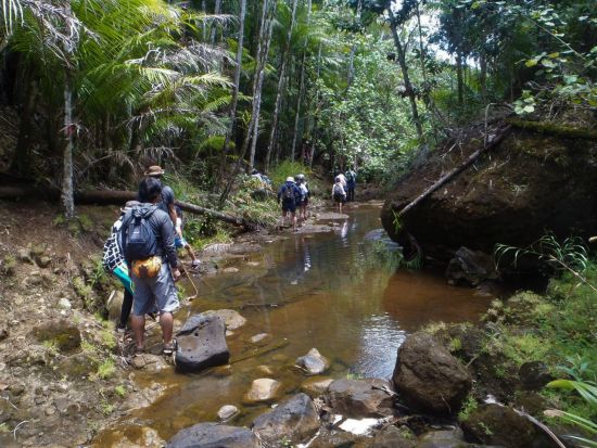 マイナスイオンに癒されるフォンテリバーとフォンテダムへ　7歳から参加OK！ ケン芳賀のグアム秘境探検トレッキングツアー＜日本語ガイド／送迎付き／貸切プランあり＞