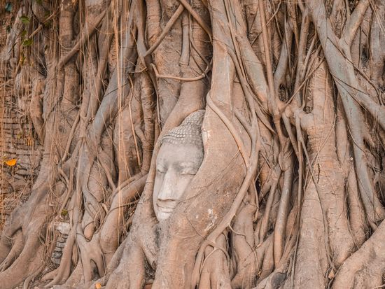 ワットマハタート