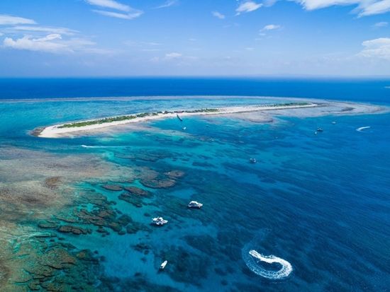 慶良間体験ダイビング（那覇発） 写真と動画を無料プレゼント＜1～2ダイブ／半日＞by 株式会社海結（オーシャンリンクス）