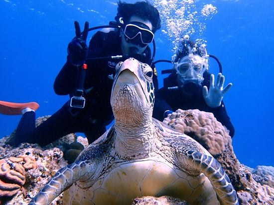 慶良間体験ダイビング（那覇発） 写真と動画を無料プレゼント＜1～2ダイブ／半日＞by 株式会社海結（オーシャンリンクス）