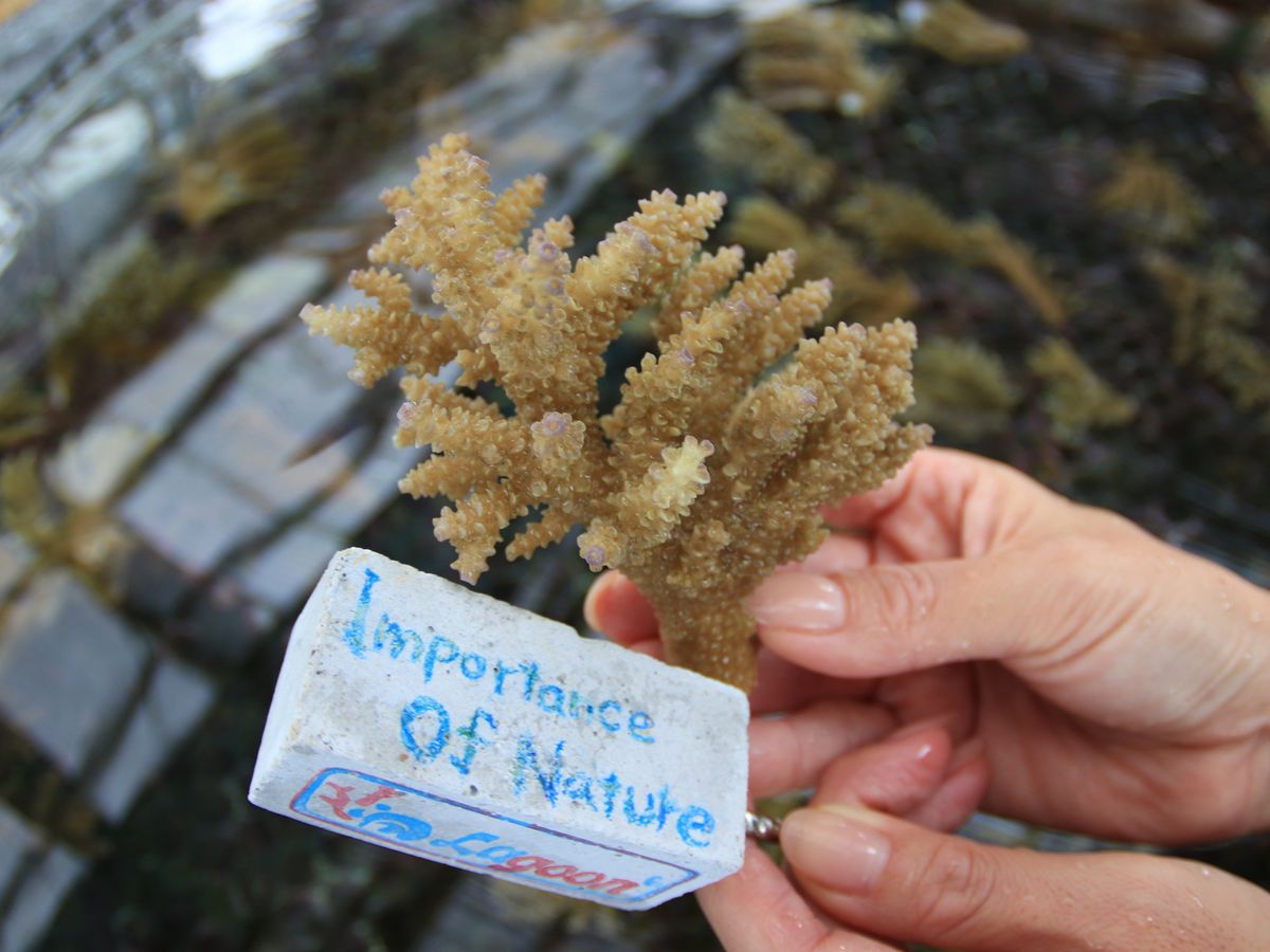 20240405054614_1105319859_1514