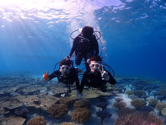 サンゴ苗作り＆養殖場見学「海の環境を楽しく学ぶ」沖縄自然体験型エコツアー　オプションでシュノーケル or ダイビング追加可＜グリーン・フィンズ認定店／恩納村＞
