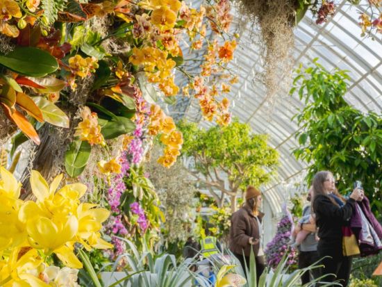 ニューヨーク植物園　入場チケット事前予約 by Tiqets