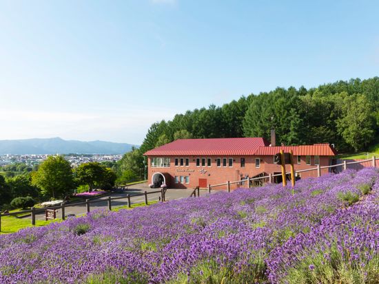 ふらのワイン工場外観