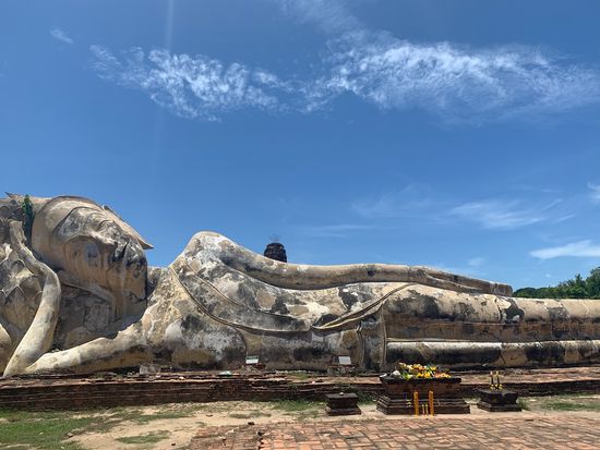 ワットロカヤスター