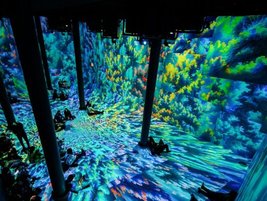 アーテックハウス・ニューヨーク（ARTECHOUSE）　没入型のデジタルアート展示　入場チケット事前予約 by Tiqets