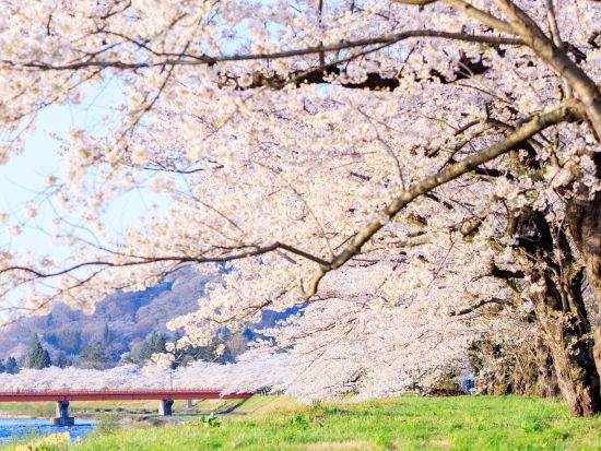 貸切1日観光タクシー 　乳頭温泉郷(周辺ホテル)発着田沢湖・角館周遊貸切観光プラン　角館武家屋敷＆たつこ像＆御座石神社 ＜6時間半～7時間半／1～8名／＞ 