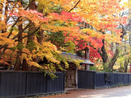 貸切1日観光タクシー 　乳頭温泉郷(周辺ホテル)発着田沢湖・角館周遊貸切観光プラン　角館武家屋敷＆たつこ像＆御座石神社 ＜6時間半～7時間半／1～8名／＞ 