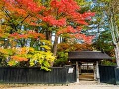 pixta_92346870_M