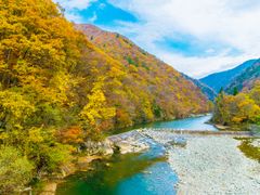 pixta_35554475_M