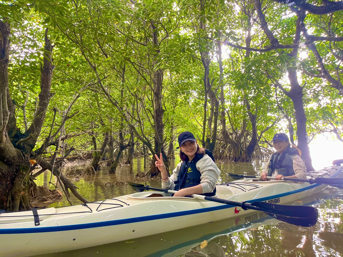 マングローブカヤックツアー 魅力あふれるマングローブジャングルの  