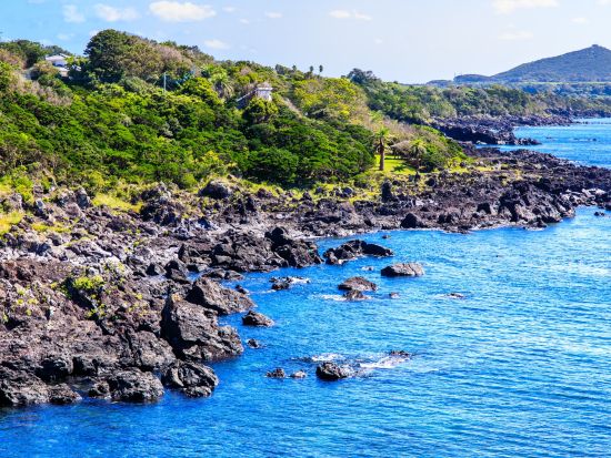 鐙瀬（あぶんぜ）海岸散策ツアー　五島列島（下五島エリア）ジオパークの認定ジオガイドが溶岩海岸の魅力や周辺の植物などを徹底解説！＜50分／福江島・五島市＞