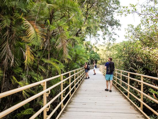 【コスタリカ周遊】観光×バードウォッチングツアー！熱帯雨林のジャングル体験！幻の野鳥ケツァール＆野生動物散策の旅＜4泊5日／英語ガイド／サンホセ発着＞