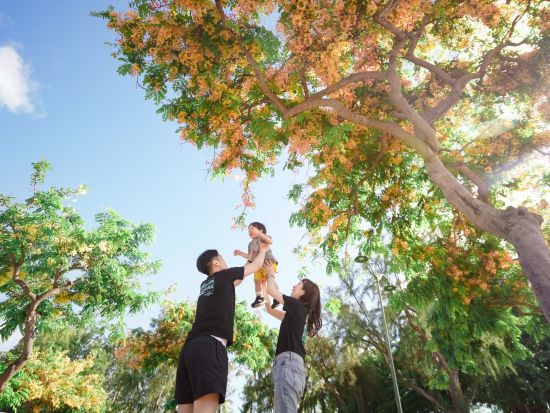 ハワイ　カジュアルフォト　 気軽に家族やカップルで記念撮影！　選べる撮影スポット ＜カピオラニパーク周辺／マジックアイランド＞