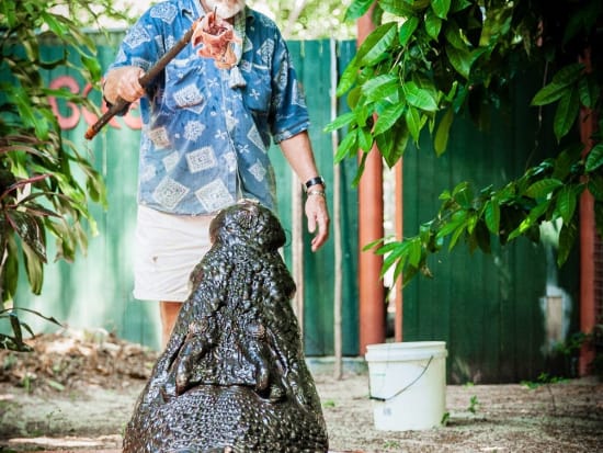 マリンランド クロコダイル パーク（Marineland Crocodile Park）入園チケット　グリーン島にある大迫力のワニ園を訪問＜クルーズ予約別途要＞