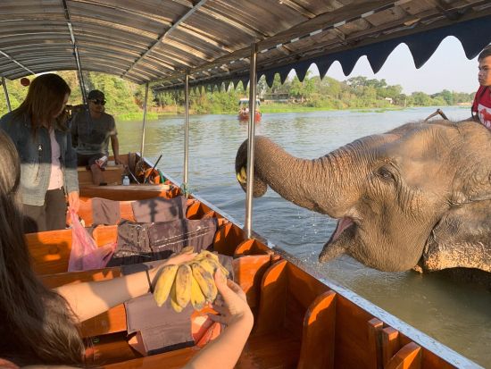 アユタヤ遺跡観光ツアー　タイ民族衣装を着て遺跡巡り＋象と触れ合い体験　プロカメラマンによる写真データ付き＜貸切／昼食／日本語ガイド／送迎＞