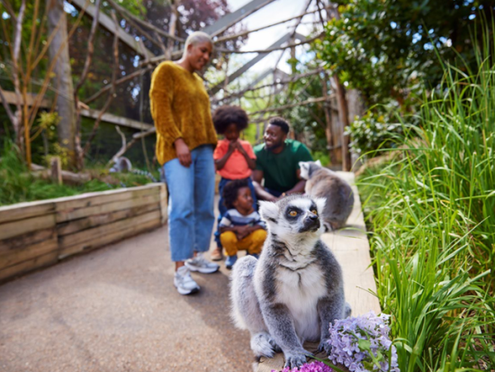 ロンドン動物園 入場チケット予約