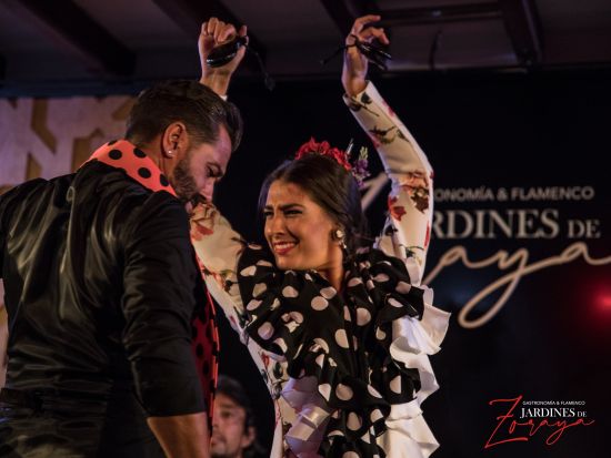 グラナダ・フラメンコ・ショー チケット予約