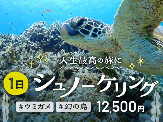 【石垣島】マリンアクティビティお任せプラン ベテランガイドがその日にピッタリのスポットへご案内！写真データ無料プレゼント♪＜1日／送迎付／昼食付プランあり＞